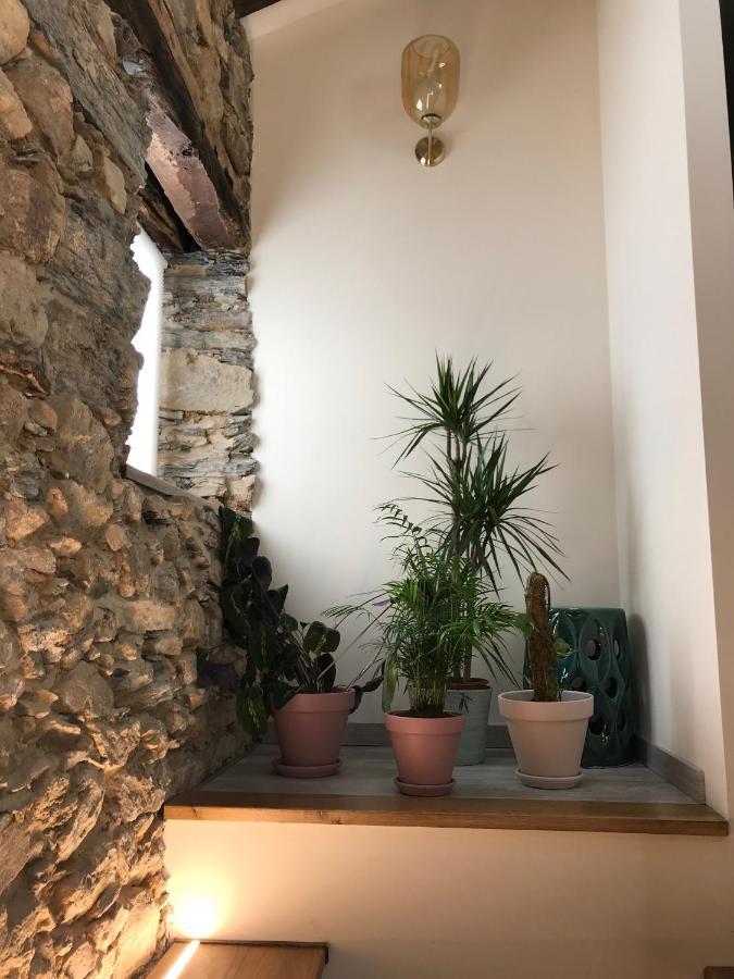 Studio Rural Vilarinho  Экстерьер фото